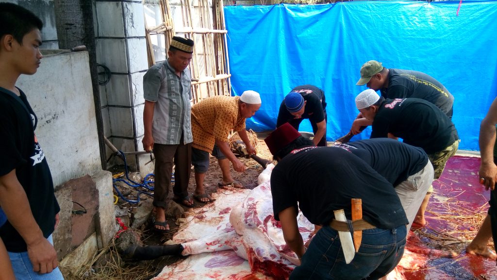 Sapi Qurban Ketum dan Dewan Penasehat Ormas Bang Japar di sembelih oleh