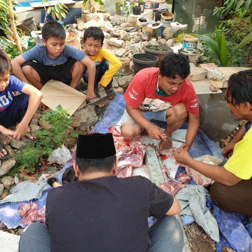 Fahira Idris Berqurban di Kalibata Pancoran Jakarta Selatan