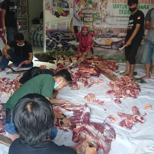 ACT Jakbar dan Bang Japar Komhan Sukabumi Utara Kebon Jeruk Jakarta Barat Kolaborasi Pemotongan 11 Ekor Sapi untuk di bagikan Pada Mustahiq.